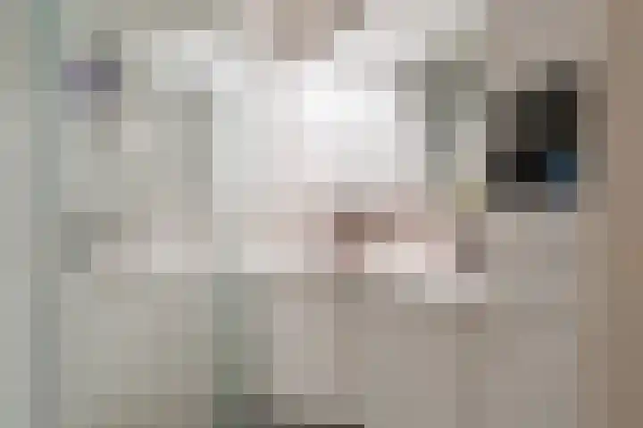 Illegaliteitslaan 136 Groningen thumbnail 34