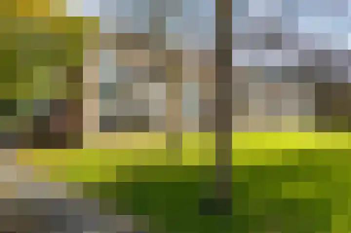 Illegaliteitslaan 136 Groningen thumbnail 36