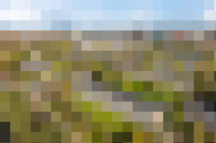 Illegaliteitslaan 136 Groningen thumbnail 38