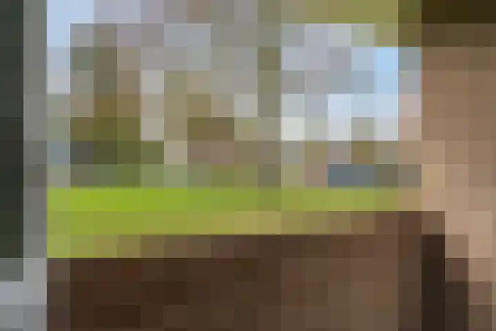 Illegaliteitslaan 136 Groningen thumbnail 7
