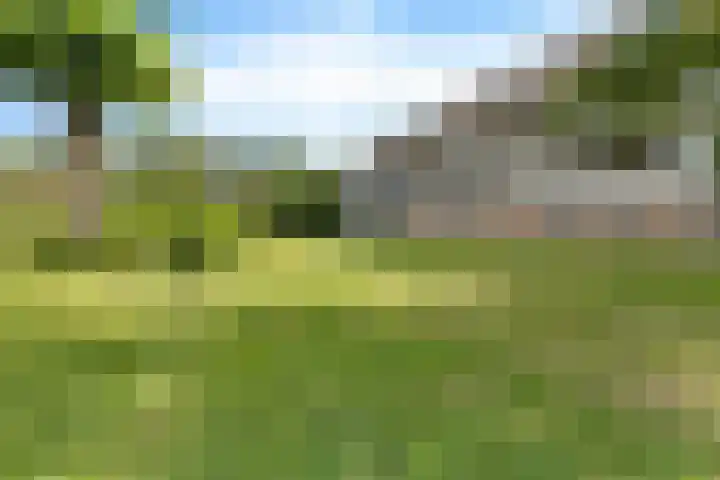 Illegaliteitslaan 146 Groningen thumbnail 11