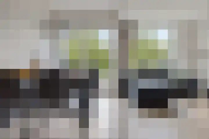 Illegaliteitslaan 146 Groningen thumbnail 20