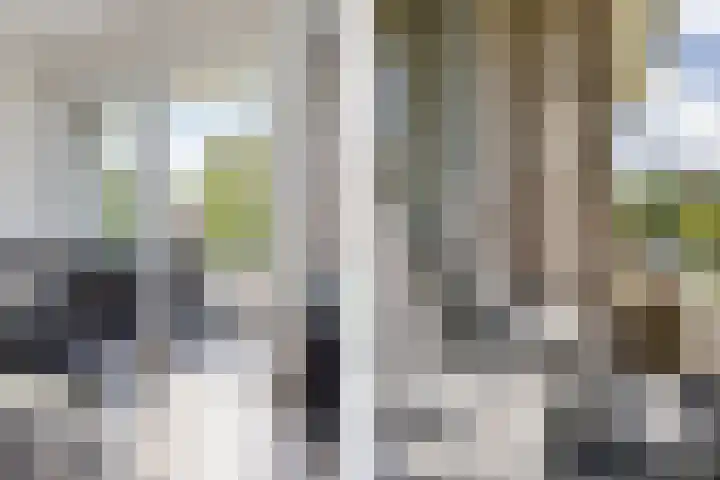 Illegaliteitslaan 146 Groningen thumbnail 26