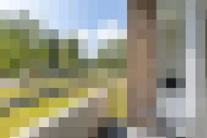 Illegaliteitslaan 146 Groningen thumbnail 27
