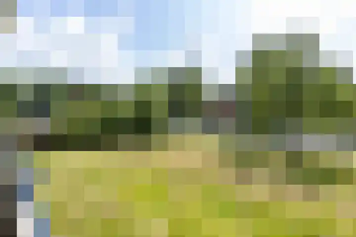 Illegaliteitslaan 146 Groningen thumbnail 28