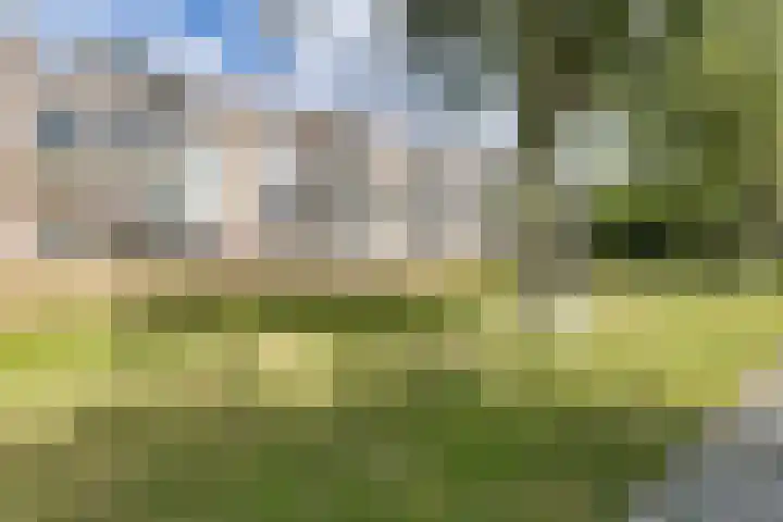 Illegaliteitslaan 146 Groningen thumbnail 8