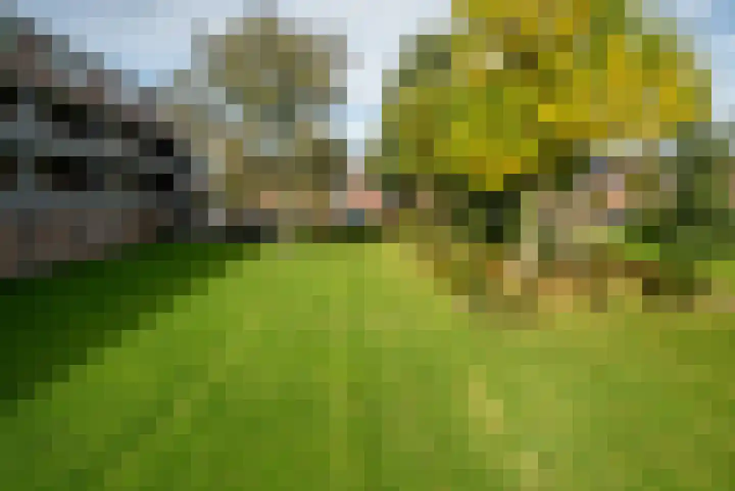Illegaliteitslaan 162 Groningen thumbnail 12
