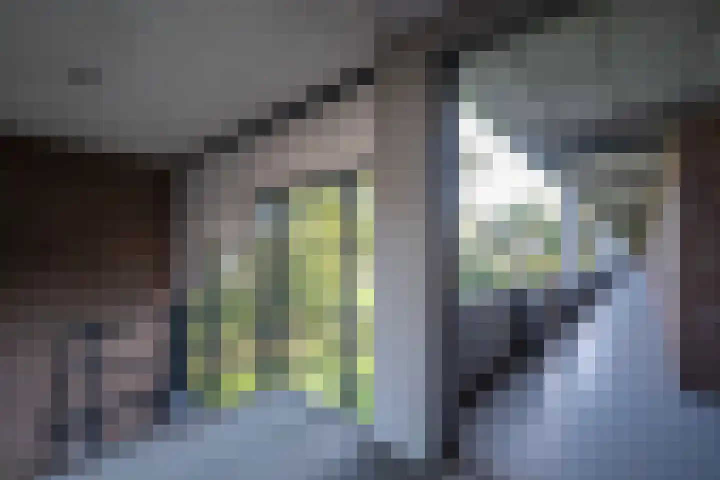 Illegaliteitslaan 162 Groningen thumbnail 16
