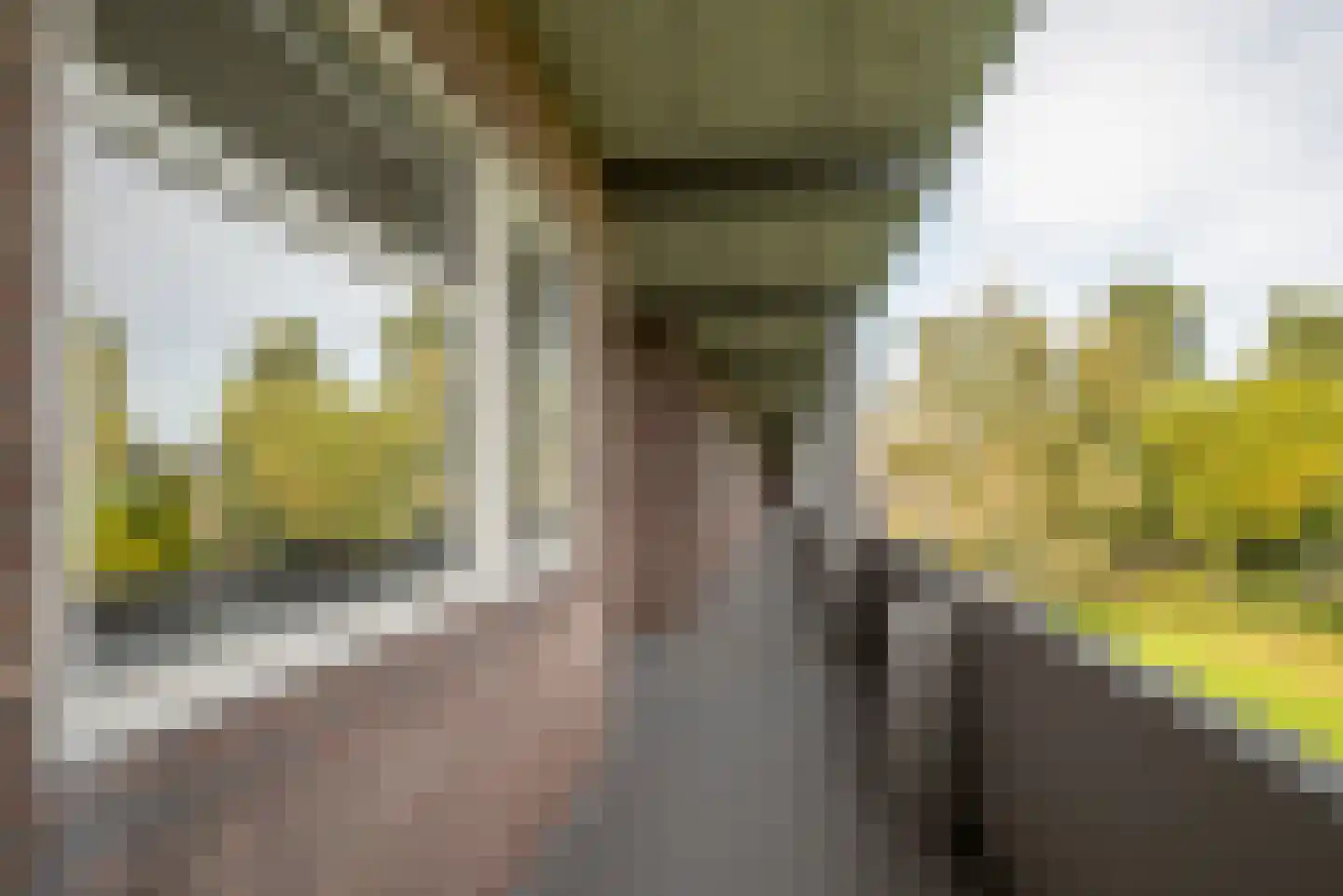 Illegaliteitslaan 162 Groningen thumbnail 18