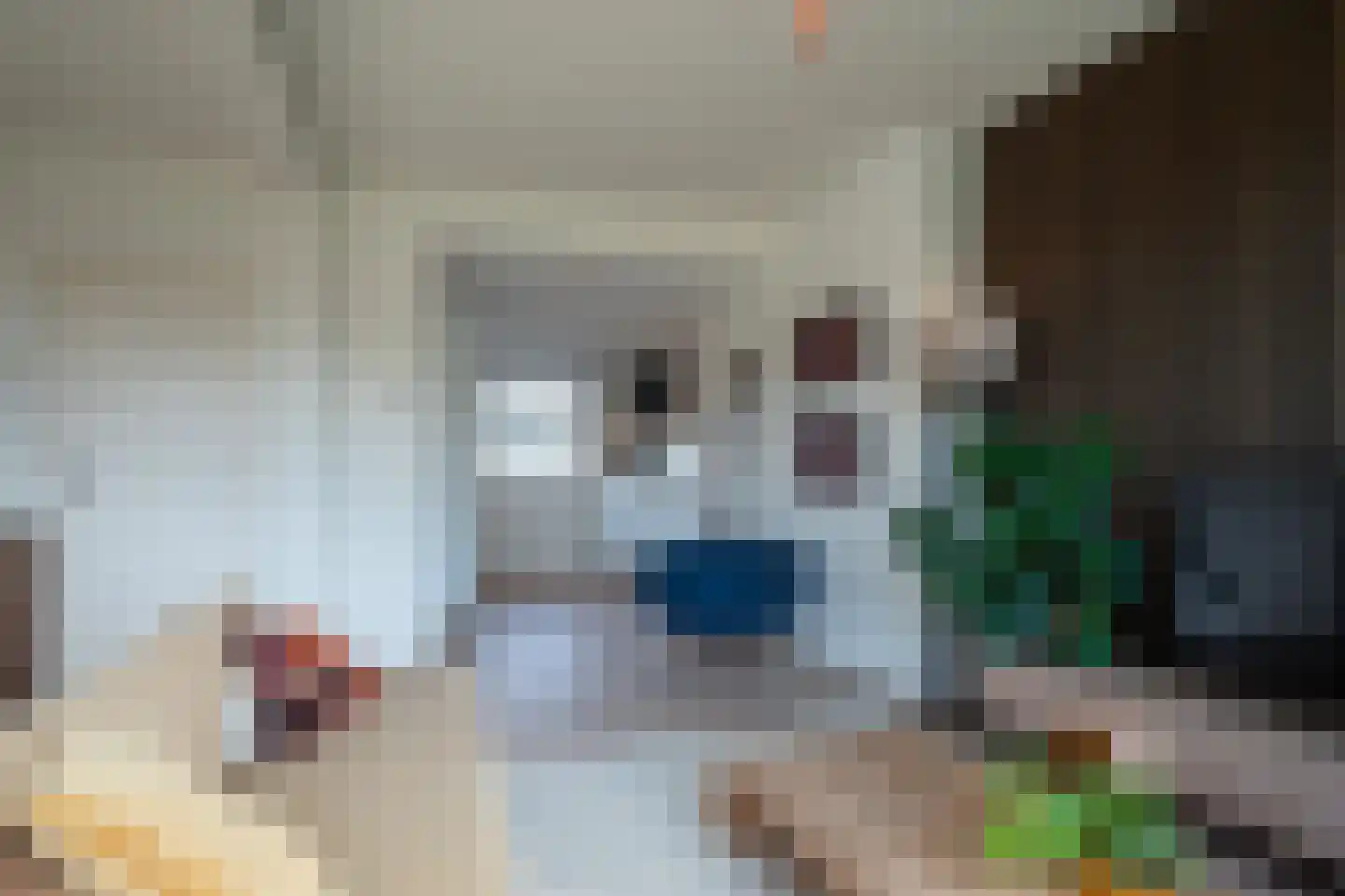 Illegaliteitslaan 162 Groningen thumbnail 27