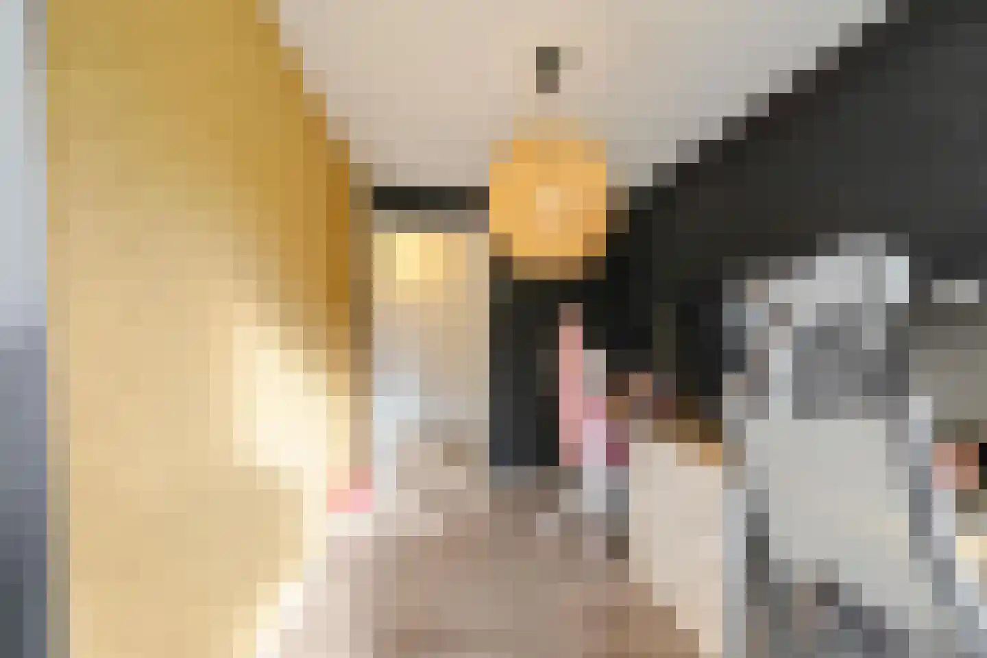 Illegaliteitslaan 46 Groningen thumbnail 32