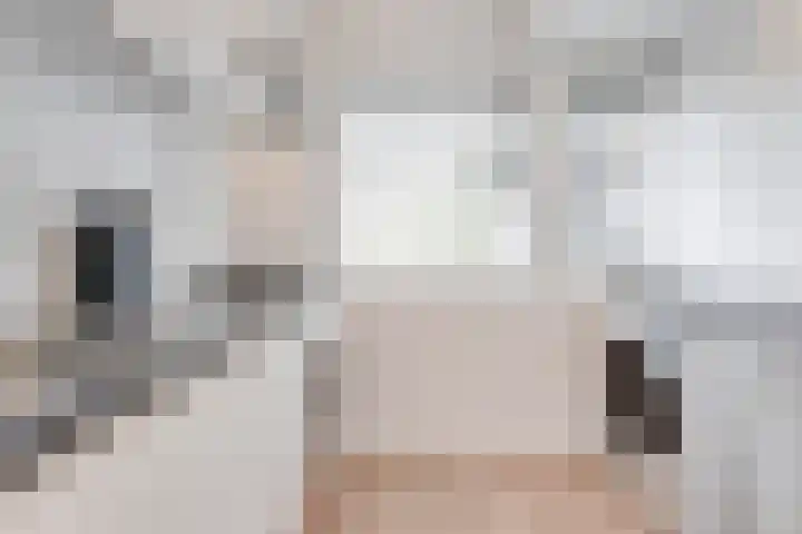 Illegaliteitslaan 66 Groningen thumbnail 13