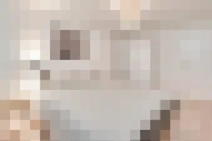 Illegaliteitslaan 66 Groningen thumbnail 17