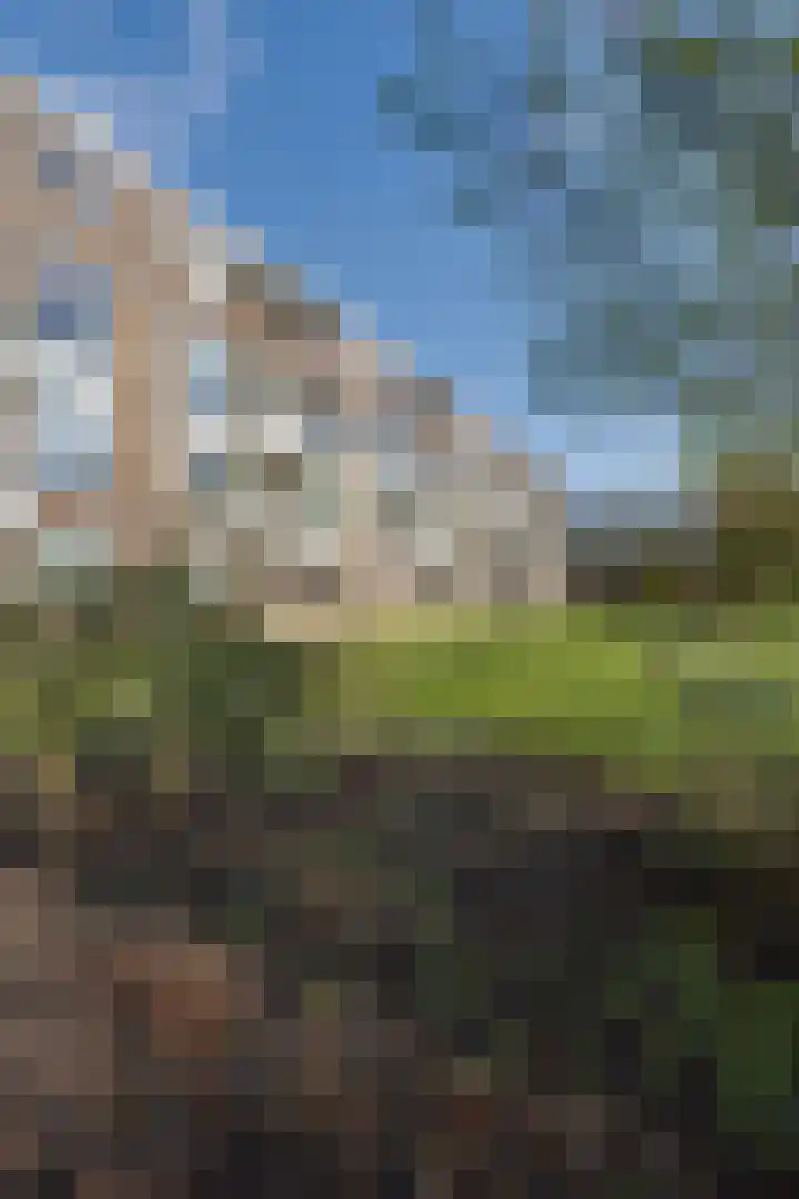 Illegaliteitslaan 66 Groningen thumbnail 26