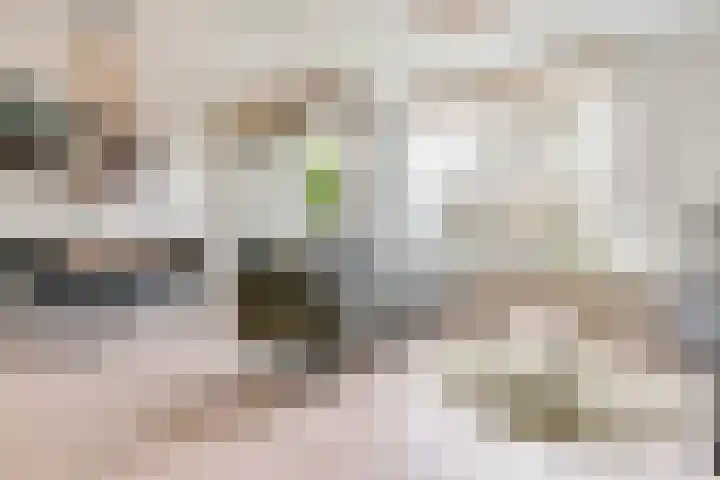 Illegaliteitslaan 66 Groningen thumbnail 29