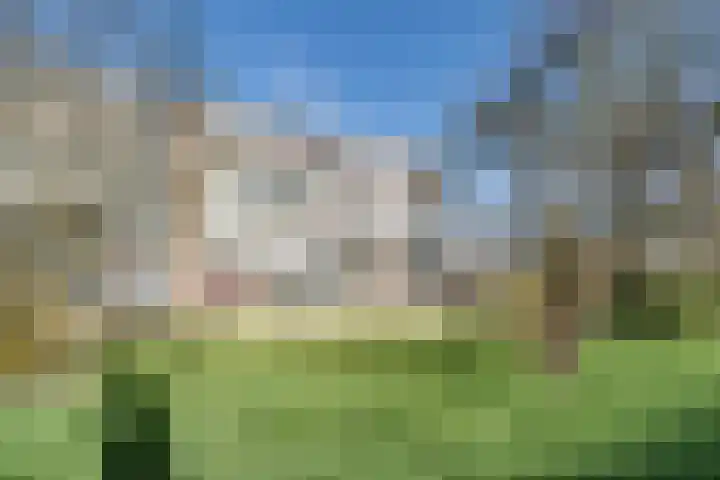 Illegaliteitslaan 66 Groningen thumbnail 4