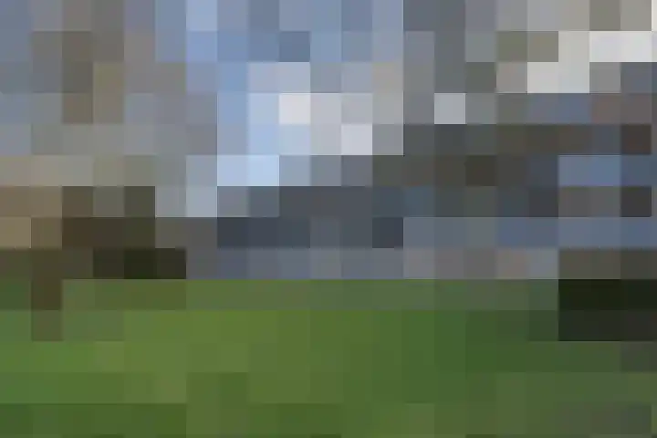 Illegaliteitslaan 66 Groningen thumbnail 5
