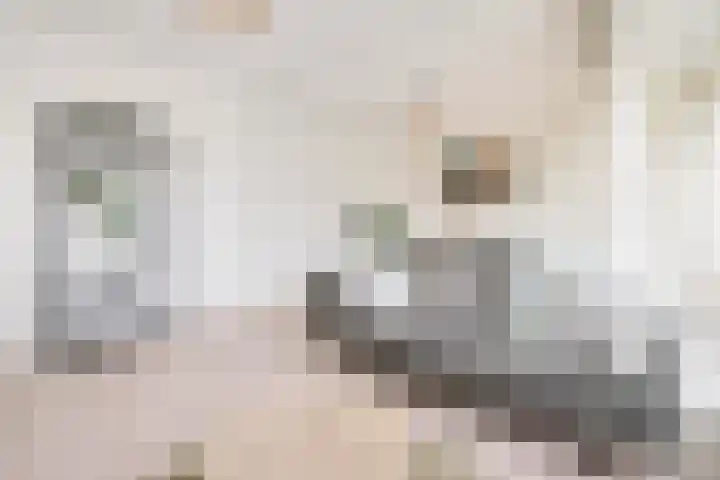 Illegaliteitslaan 66 Groningen thumbnail 9