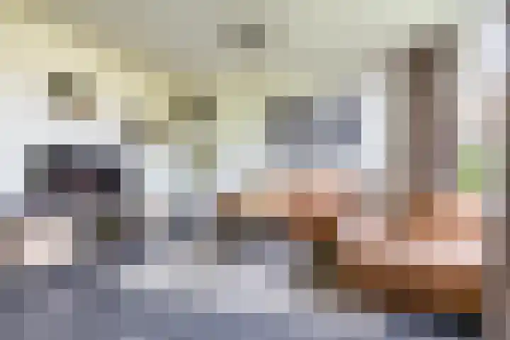Illegaliteitslaan 8 Groningen thumbnail 12