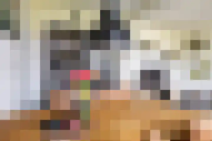 Illegaliteitslaan 8 Groningen thumbnail 14