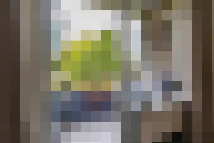 Illegaliteitslaan 8 Groningen thumbnail 15