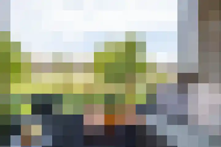 Illegaliteitslaan 8 Groningen thumbnail 16