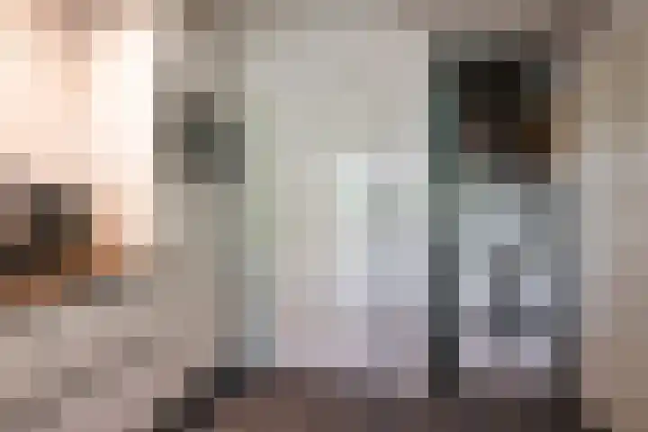 Illegaliteitslaan 8 Groningen thumbnail 18