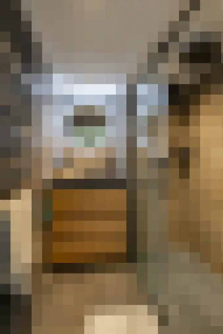 Illegaliteitslaan 8 Groningen thumbnail 22