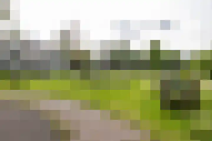 Illegaliteitslaan 8 Groningen thumbnail 31