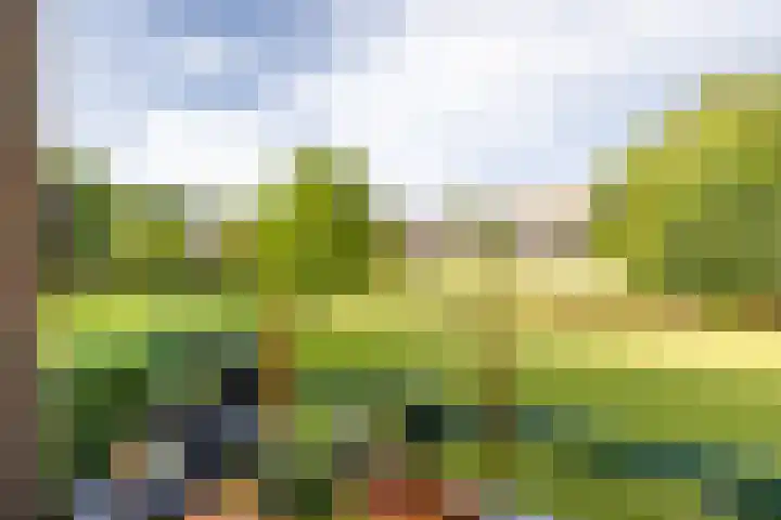 Illegaliteitslaan 8 Groningen thumbnail 4