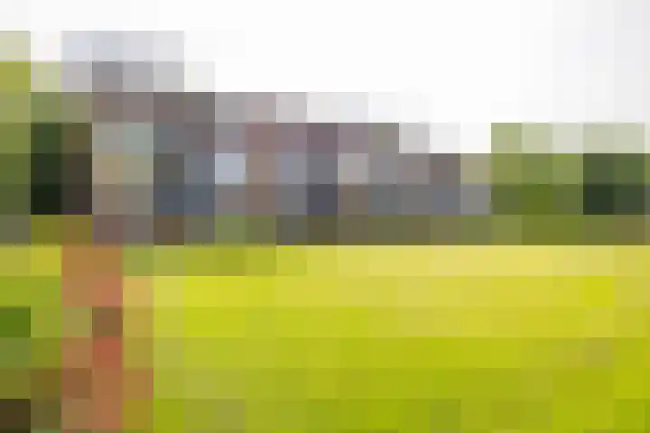 Illegaliteitslaan 8 Groningen thumbnail 5