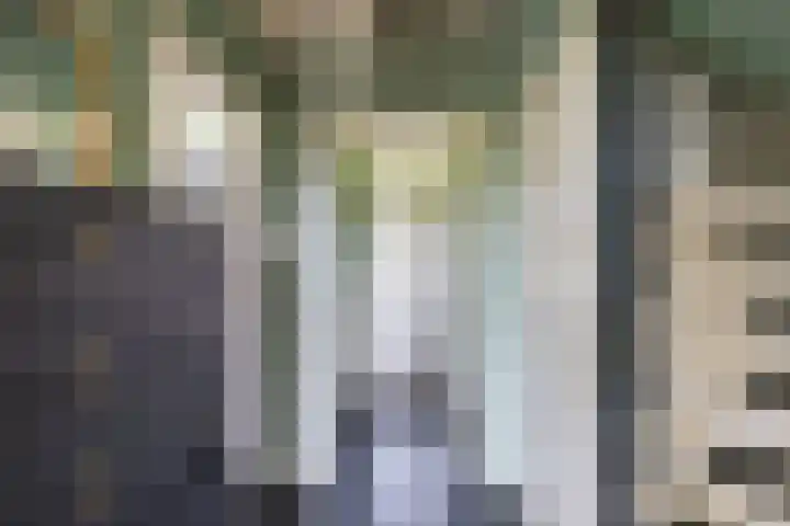 Illegaliteitslaan 80 Groningen thumbnail 10