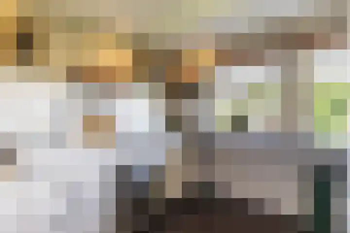 Illegaliteitslaan 80 Groningen thumbnail 14