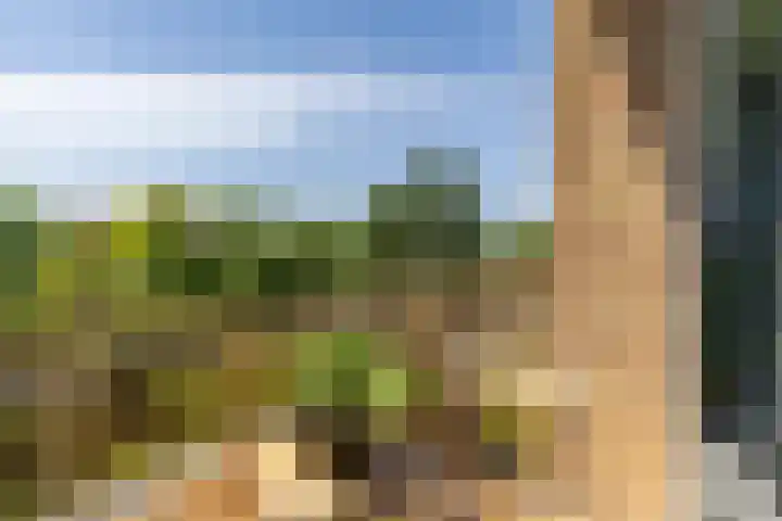 Illegaliteitslaan 80 Groningen thumbnail 21