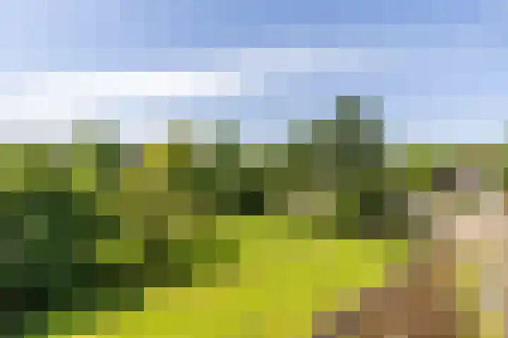 Illegaliteitslaan 80 Groningen thumbnail 22