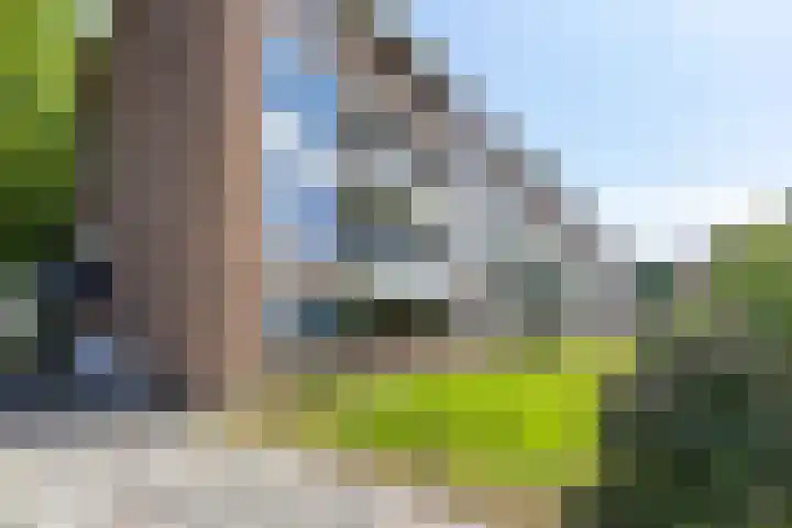 Illegaliteitslaan 80 Groningen thumbnail 35