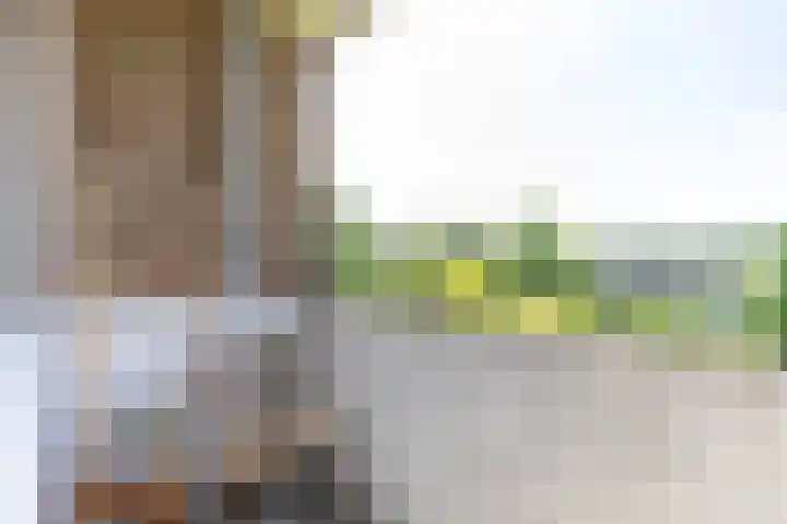 Illegaliteitslaan 80 Groningen thumbnail 36