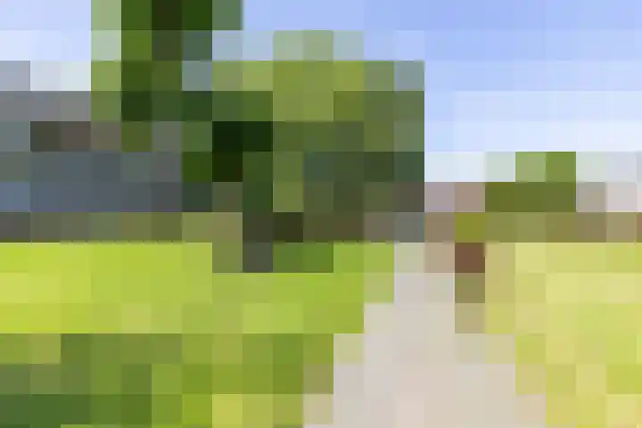 Illegaliteitslaan 80 Groningen thumbnail 37