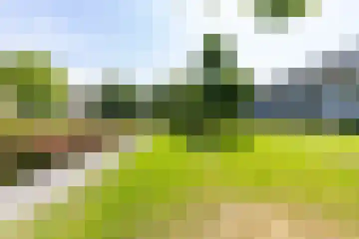 Illegaliteitslaan 80 Groningen thumbnail 38