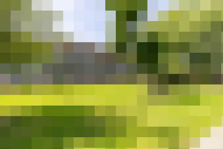 Illegaliteitslaan 80 Groningen thumbnail 4