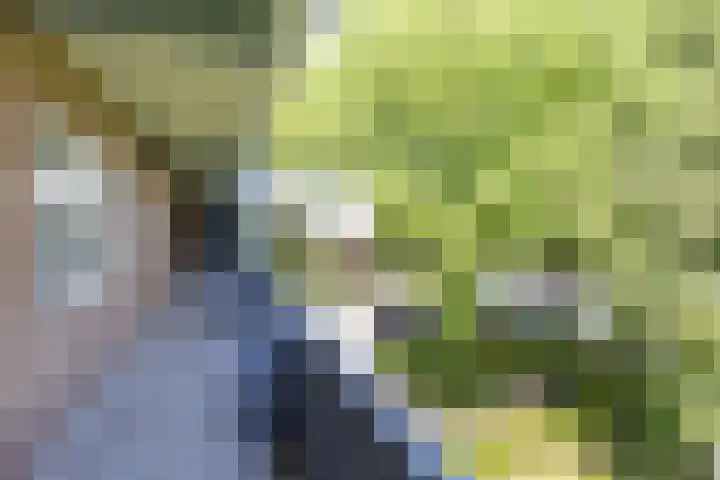 Illegaliteitslaan 80 Groningen thumbnail 7