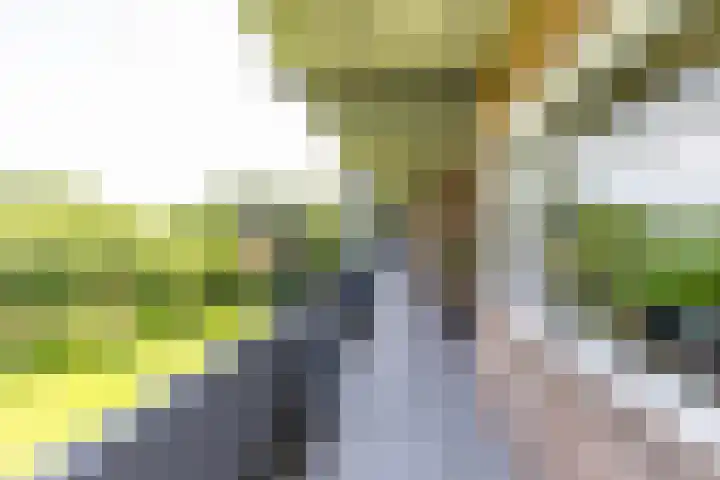 Illegaliteitslaan 80 Groningen thumbnail 8