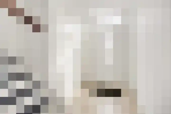 Illegaliteitsweg 51 A Amersfoort thumbnail 27