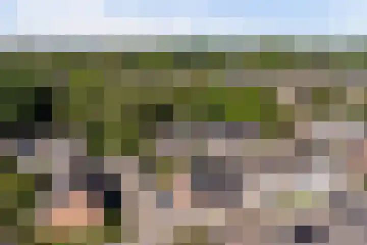 Illegaliteitsweg 51 A Amersfoort thumbnail 31