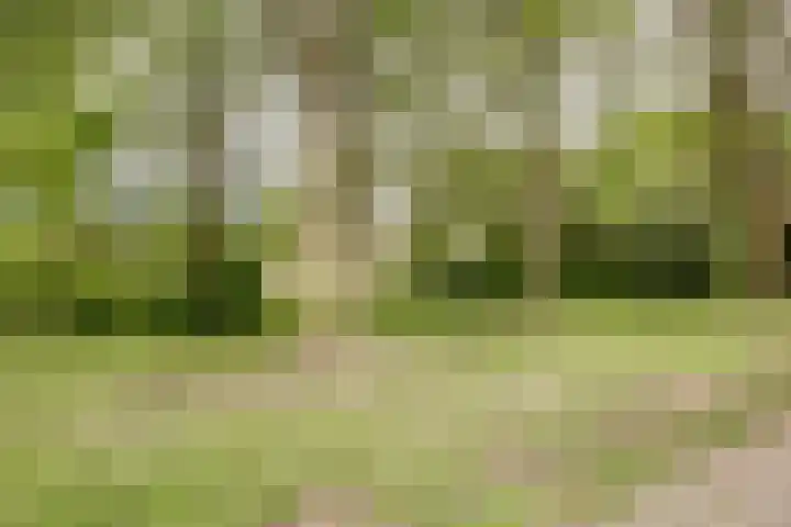 Illegaliteitsweg 51 A Amersfoort thumbnail 33