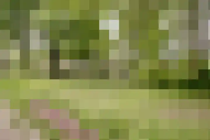 Illegaliteitsweg 51 A Amersfoort thumbnail 34