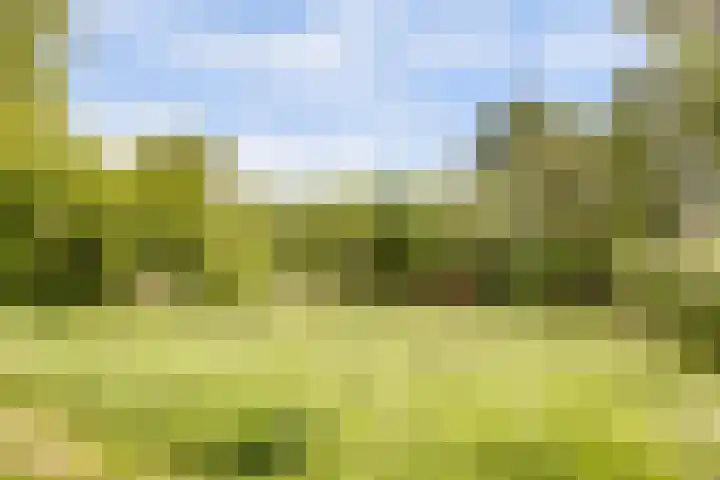 Illegaliteitsweg 51 A Amersfoort thumbnail 35