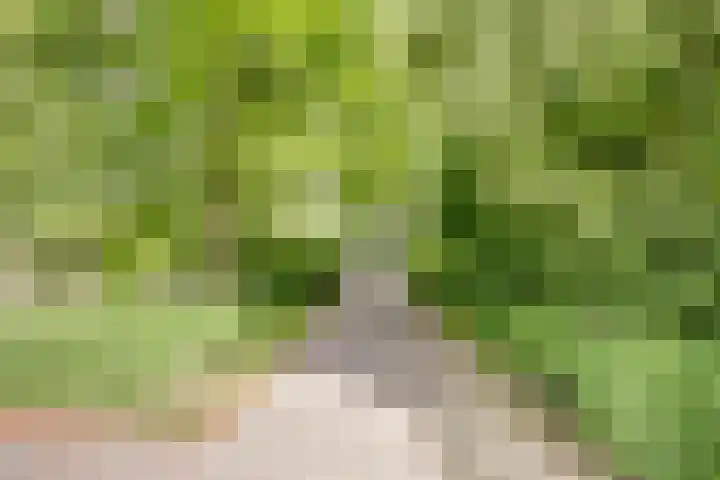 Illegaliteitsweg 51 A Amersfoort thumbnail 36