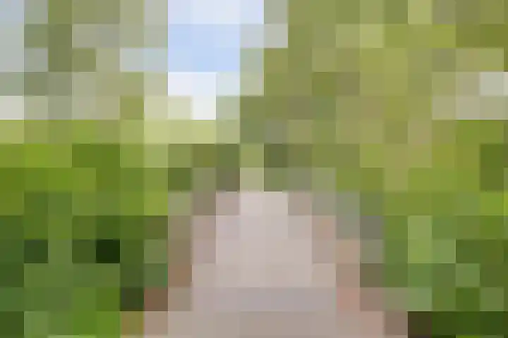 Illegaliteitsweg 51 A Amersfoort thumbnail 37