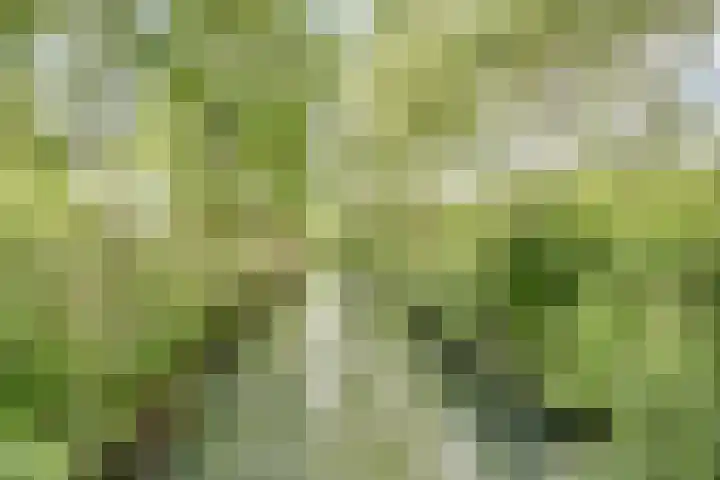 Illegaliteitsweg 51 A Amersfoort thumbnail 38